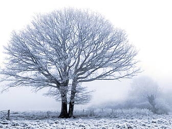 Met Eireann Issue Weekend Cold...